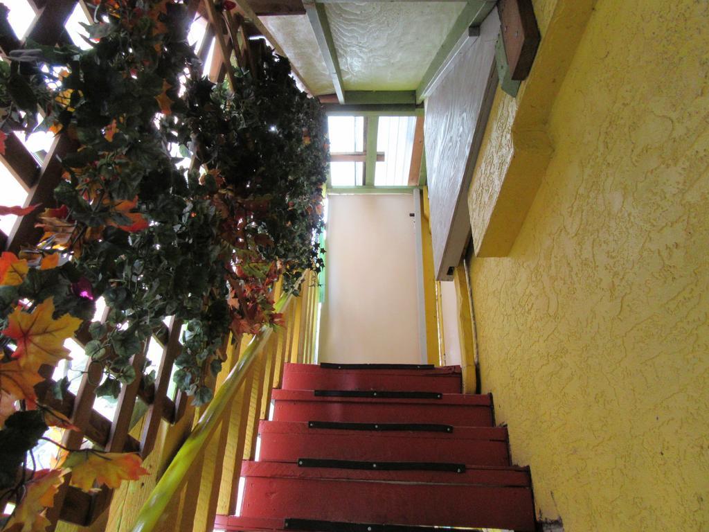 Turtle Hostel Victoria Exterior foto